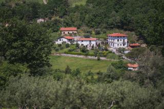 Agriturismo La Valle degli Ulivi - Trecchina - 0