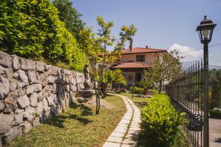 Agriturismo La Valle degli Ulivi - Trecchina - 4
