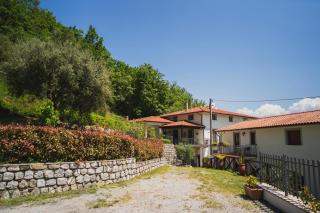 Agriturismo La Valle degli Ulivi - Trecchina - 3