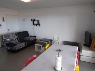 Appartement F3 en bordure de l étang de thau - Marseillan - 1
