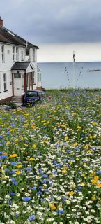 Cliff haven - Borth - 5