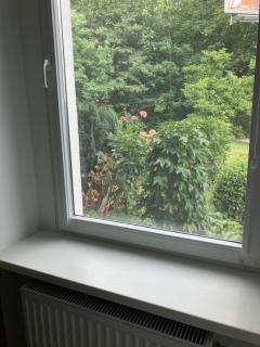 Kamienica nad Maltą- Mieszkania nad Jeziorem Maltańskim - 2