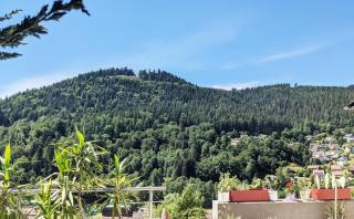 WiLDBADFERiEN DE - Bad Wildbad - 6