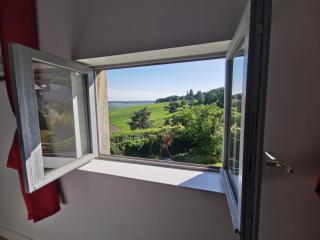 Le Sarment - HAUTVILLERS - Hautvillers - 9