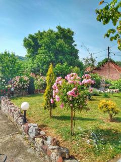 Knez Apartmani - Senje - 6