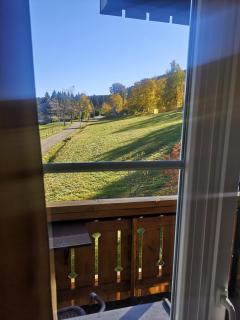 Schwarzwald-Chalet Feldberg - Feldberg - 5