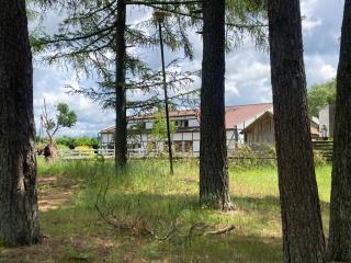 Potęgówka wege Kaszuby - Linia - 8