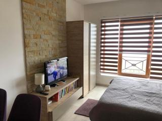 Studio apartman p13 - Kopaonik - 9