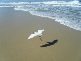 Pousada das Casuarinas - 3