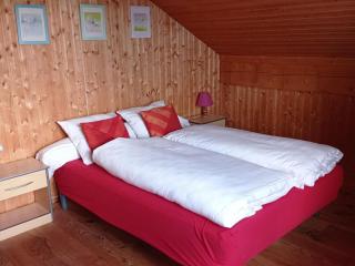 Chalet in Saulxures near Ski Resorts - Saulxures-sur-Moselotte - 6