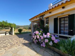 Casa di Campagna in Gallura - 3