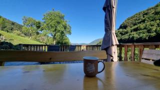 Hisa Brdo Guesthouse - 7