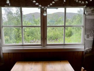 Fjällhalsen Cottages - 7