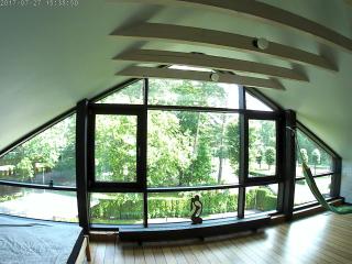 Exquisite 1930's Historical House - 4