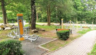 Willa Nimfa - apartamenty i pokoje w centrum - 1