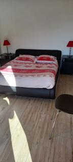 CHALET INDIVIDUEL TRES ENSOLEILLE AU CALME VUE IMPRENABLE - Saint-Étienne-de-Tinée - 9