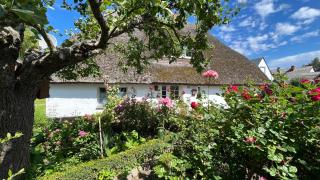 Reetdachtraum - Middelhagen - 7