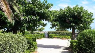la playa - Gruissan - 2