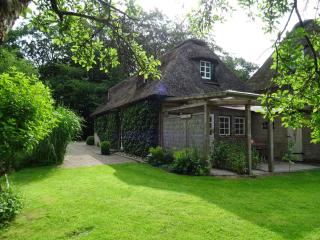 Kleines Reethaus Johannsen - mit geschmackvoller Einrichtung und tollem Garten - Silberstedt - 3