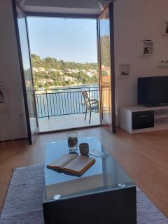 Apartment Dominik - Smokvica - 1