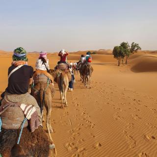 Best Merzouga Sahara Camp - Merzouga - 8