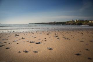 CLOSE TO BEACH, dogs welcome, private garden - St Merryn - 3