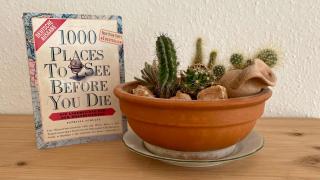 Ferienapartment Casa Heideblick mit Sonnenterrasse & Garten - 5