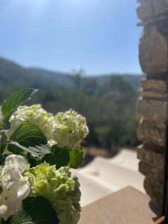 La casa di Michela - 6