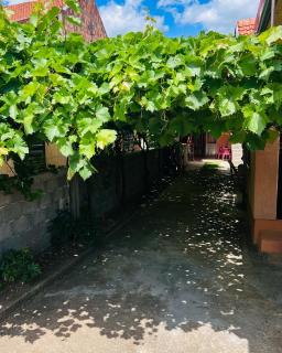 Alegrija Lux - Soko Banja - 9