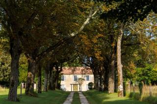 Domaine de Seugnac - Pons - 8