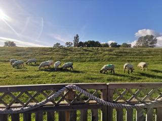 Ferienwohnung an der Barlter Mühle im ersten OG Nähe Nordsee - 2
