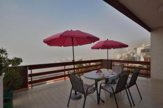 Apartments Magnolia - 7