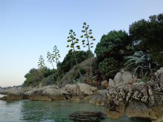 House Vedrana - Igrane - 2