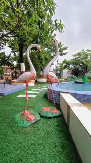 Green Paradise Trimbak - 0