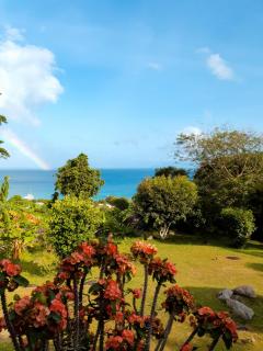 Rose Self Catering - Beau Vallon - 8