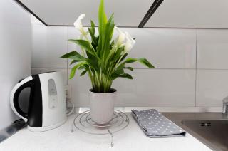 Apartments and Rooms Antee - Vodice - 4