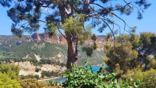 Appartements avec jardin dans Villa Rocaille - Cassis - 2