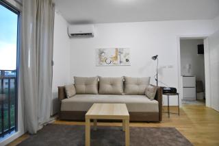 Apartman Lipa 11 - Vrnjačka Banja - 9