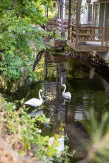 Golden Key Bordubet - 5