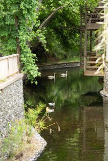 Golden Key Bordubet - Hisarönü - 8