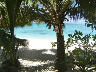 Makayla Palms - Rarotonga - 8