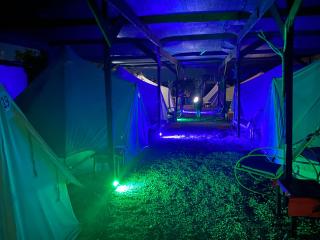 Aurora Glamping - Vama Veche - 5