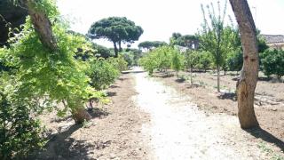 Bungalow para quienes buscan tranquilidad - Chiclana de la Frontera - 2