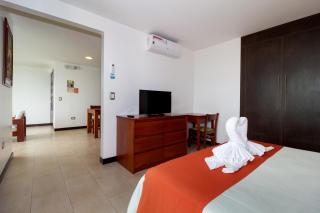 Galapagos Apartments - Bay View House - Puerto Ayora - 1