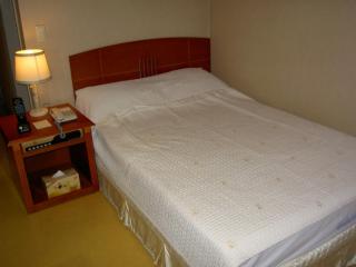 Busan Central Hotel - Busan - 9