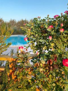 Agriturismo Le Giare - Bagno Roselle - 2