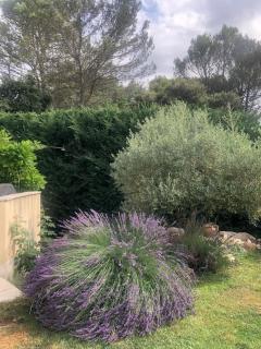 Villa du Soleil en Provence sur le Domaine du Golf de Pont Royal - Mallemort - 1