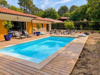 Magnifique villa avec piscine - Biscarrosse - 9
