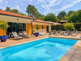 Magnifique villa avec piscine - Biscarrosse - 0