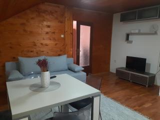Apartman Ljiljan - Niš - 7